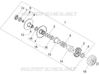 Polia conduzida