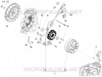 Volante magnete