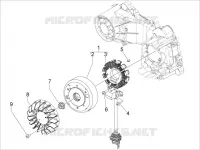 Volante magnete