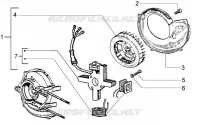 Volante magnete