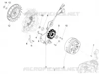 Volante magnete