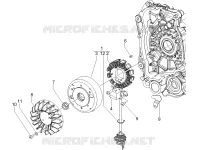 Volante magnete