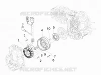 Volante magnete
