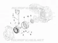 Volante magnete
