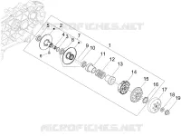 Polia conduzida
