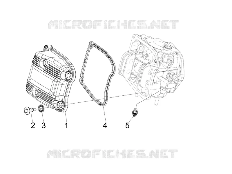 Cobertura da cabeça