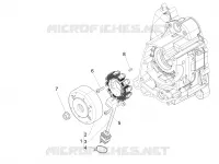 Volante magnete