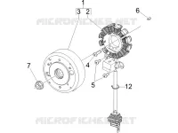 Volante magnete