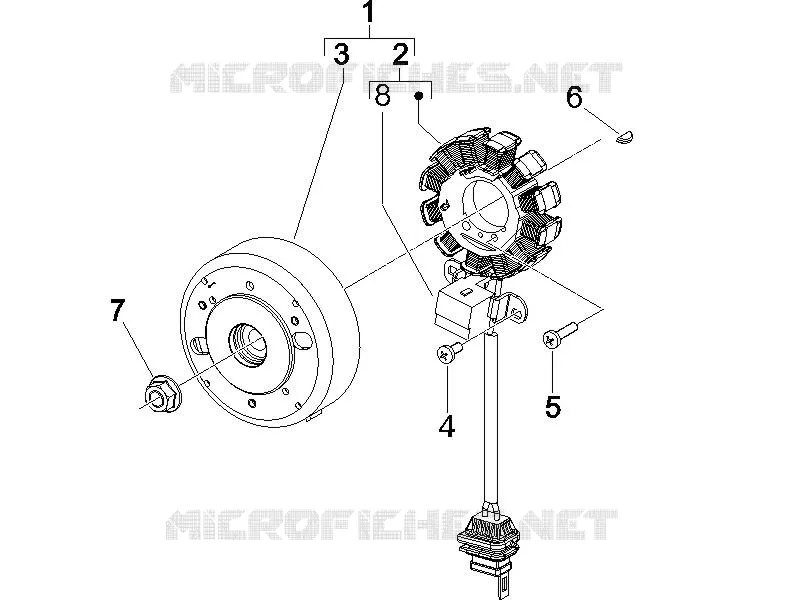 Volante magnete