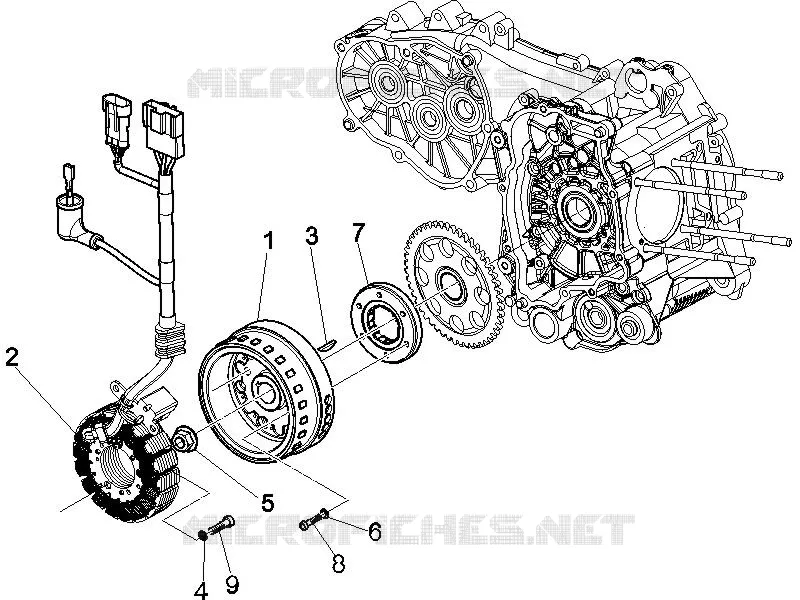Volante magnete