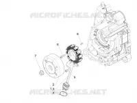 Volante magnete