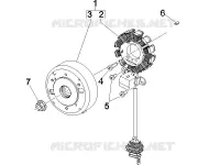 Volante magnete