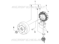 Volante magnete