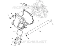 Cobertura da cabeça
