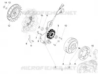 Volante magnete