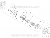 Polia conduzida