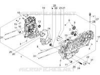 Cárter