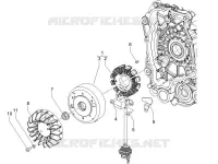 Volante magnete