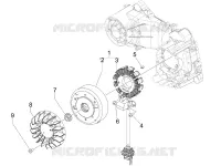 Volante magnete