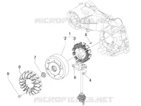 Volante magnete