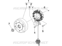 Volante magnete