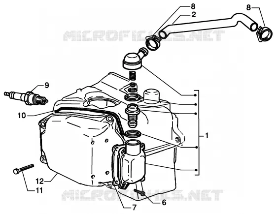 Oil drain valve