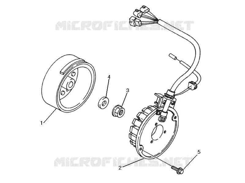 Volante magnete