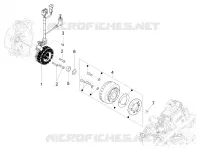 Volante magnete